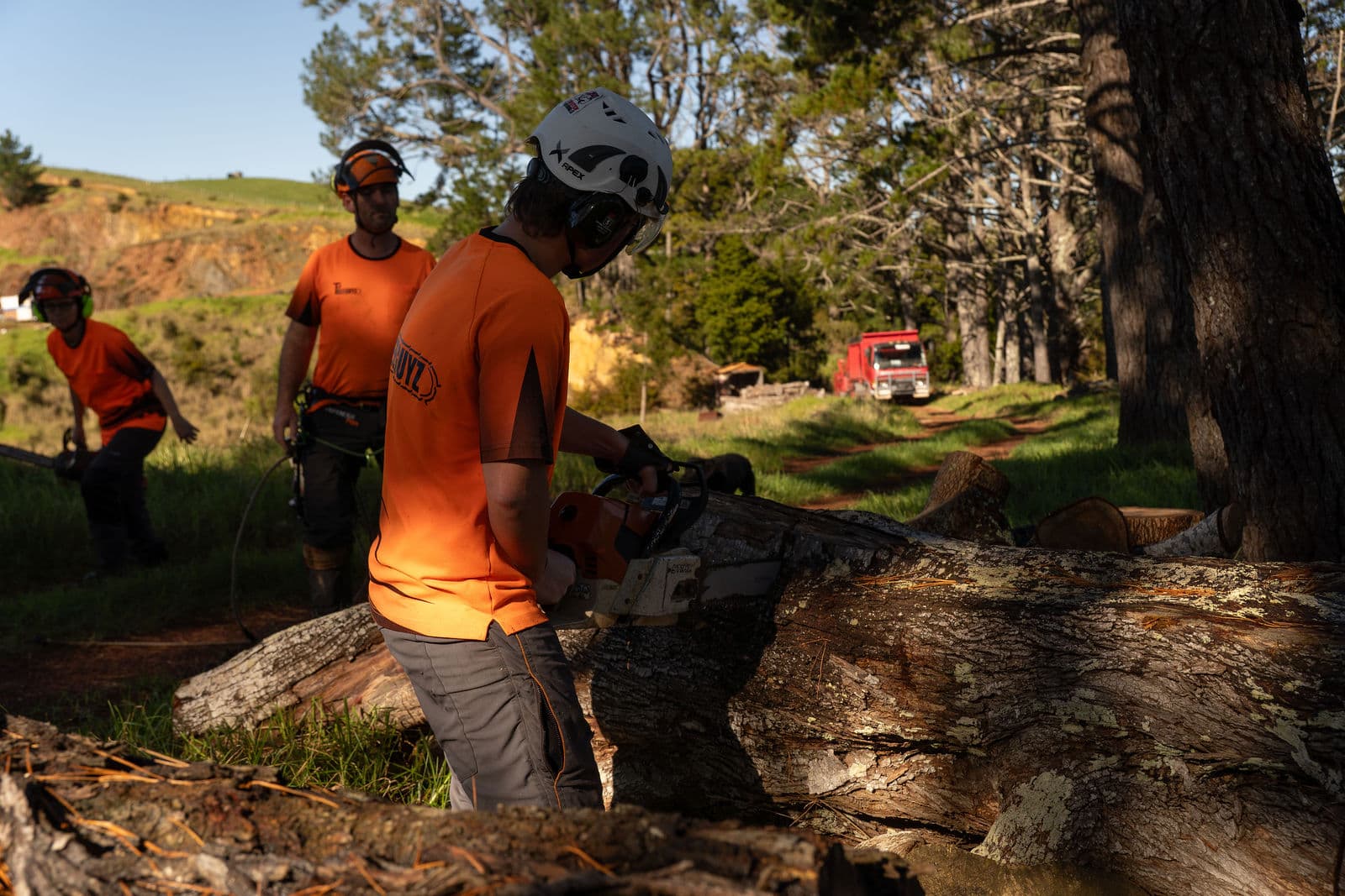 Tree Guyz crew on the tools 2