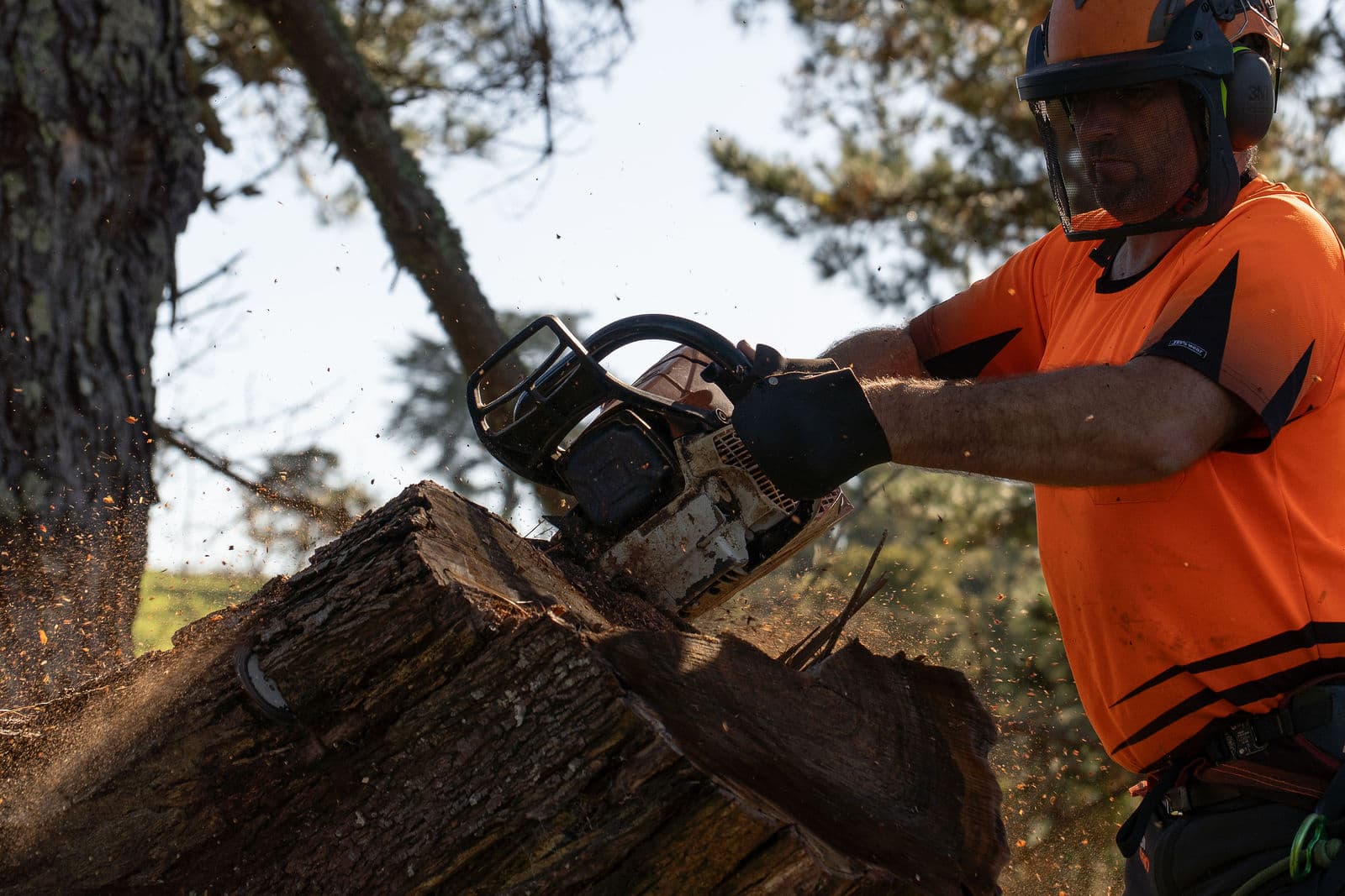 Tree Guyz crew on the tools 3